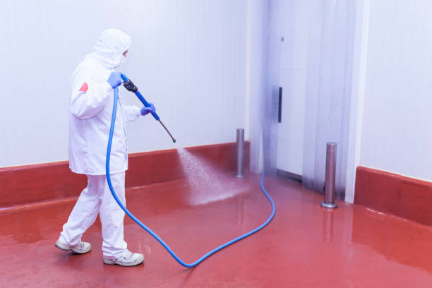 Best Pool Deck Cleaning  in Manitowoc, WI